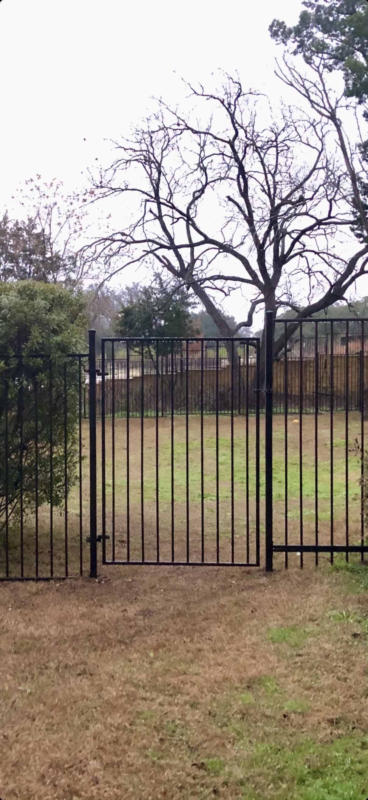 Black metal fence gate installation in Austin, TX