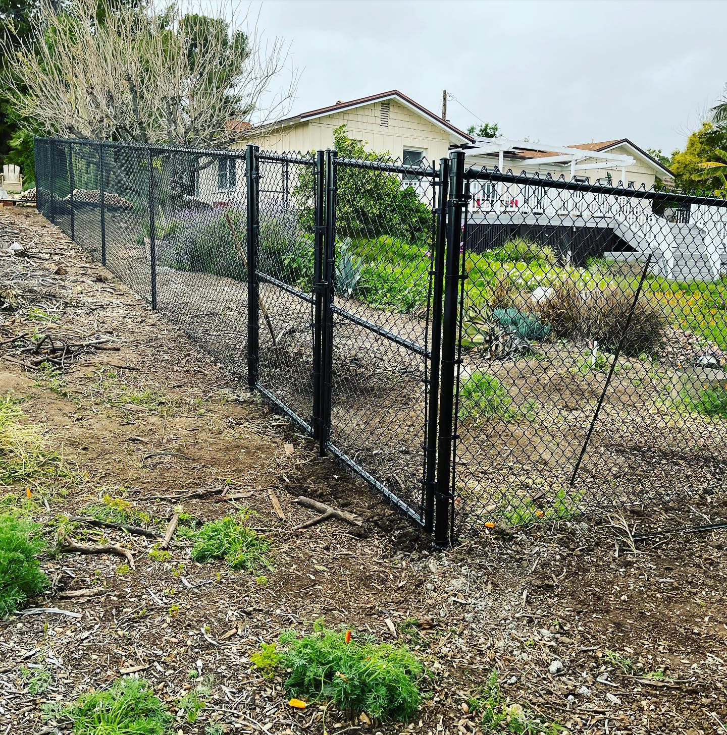 Black vinyl-coated chain link fence with gate for residential backyard in Austin