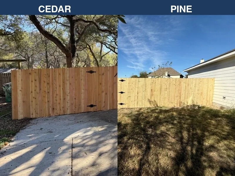 Cedar vs Pine Fence Comparison