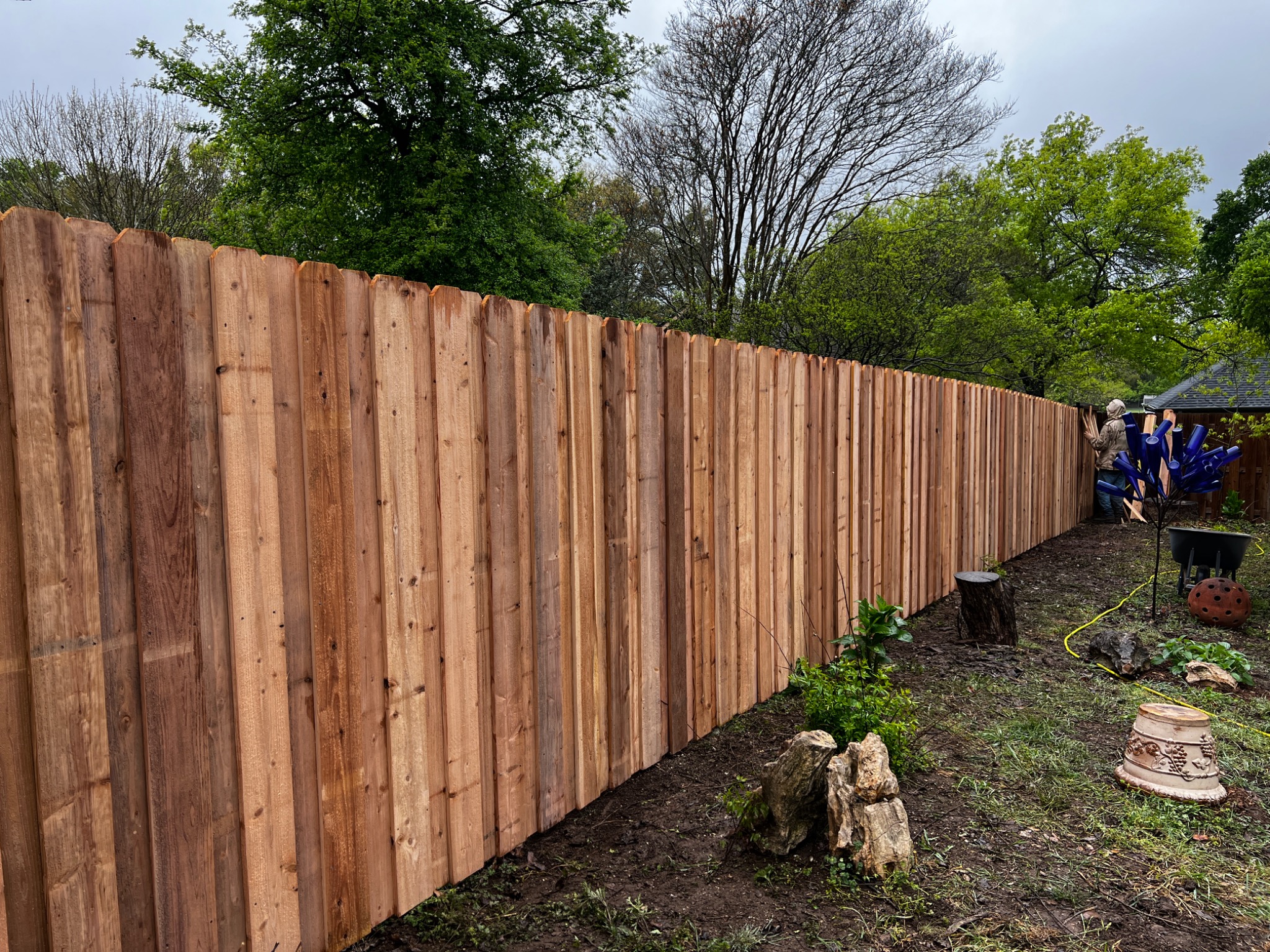 Board-on-board cedar fence in Austin, TX
